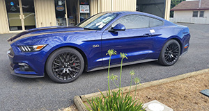 Car tints